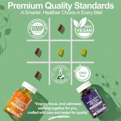 Ashwagandha, Lions Mane & Ginkgo Biloba Mixed Berries