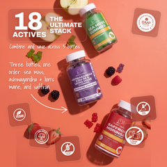 The Daily Three Bundle: Sea Moss 5,680mg, Ashwagandha KSM-66 4,700mg & Saffron 4,755mg Gummies, gallery image 2