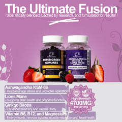 Ashwagandha and Lions Mane with Ginkgo Biloba Gummies - Mixed Berries — gallery image 3